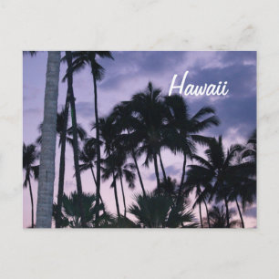 Hawaii palmbomen op zonsondergang briefkaart