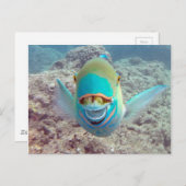 Hawaii Parrot Fish Briefkaart (Voorkant / Achterkant)