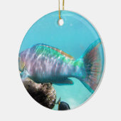 Hawaii Parrot Fish Keramisch Ornament (Links)