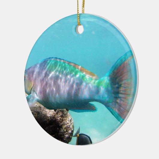 Hawaii Parrot Fish Keramisch Ornament (Links)