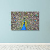 Hawaii Peacock Canvas Afdruk (Insitu (Houten vloer))