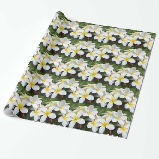 Hawaii Plumeria Flowers Cadeaupapier (Uitgerold)