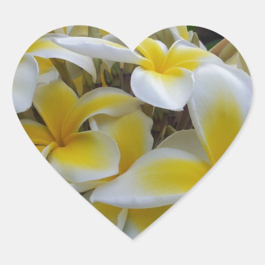 Hawaii Plumeria Flowers Hart Sticker (Voorkant)
