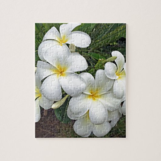 Hawaii Plumeria Flowers Legpuzzel (Verticaal)