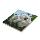 Hawaii Plumeria Tegeltje (Zijkant)