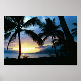 Hawaii Poster