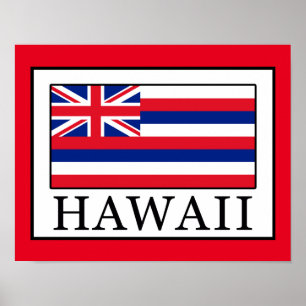 Hawaii Poster