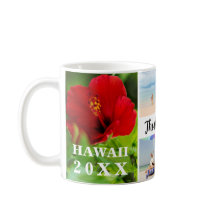 Hawaii Red Hibiscus 4