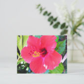 Hawaii Red Hibiscus Flower Briefkaart (Staand voorkant)