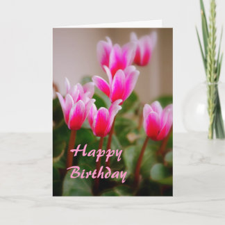 Hawaii Roze Cyclamen Bloemen, Verjaardag Kaart