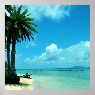 Hawaii Schilderachtig Tropisch strand Poster