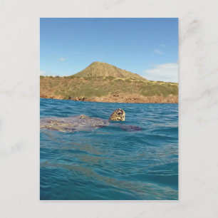 Hawaii-schildpad Briefkaart