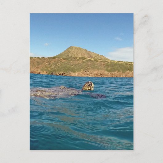 Hawaii-schildpad Briefkaart (Voorkant)