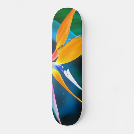 hawaii-skateboard van het paradijs skateboard (Voorkant)