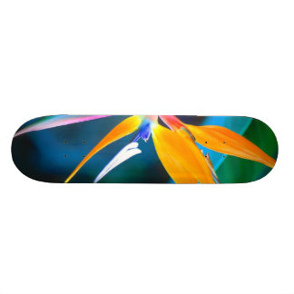 hawaii-skateboard van het paradijs skateboard