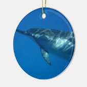 Hawaii Spinner Dolphin Keramisch Ornament (Links)