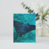 Hawaii Spotted Eagle Ray Briefkaart (Staand voorkant)