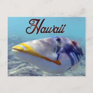 Hawaii State Fish - Humuhumunukunukuapua'a Briefkaart