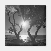 Hawaii Sunlit Trees Ocean Shore Black and White Magneet (Voorkant)