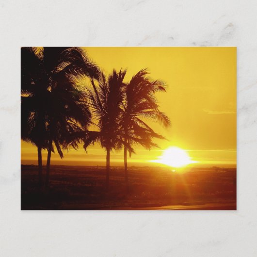 Hawaii Sunset Briefkaart (Voorkant)
