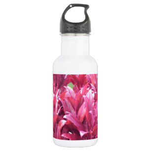 Hawaii Ti verlaat plant Waterfles