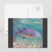 Hawaii Trevally Fish Briefkaart (Voorkant / Achterkant)