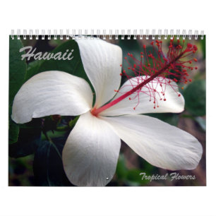 Hawaii Tropical Flowers Calendar Kalender