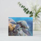 Hawaii Turtle Briefkaart (Staand voorkant)