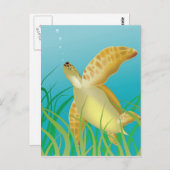 Hawaii Turtle Briefkaart (Voorkant / Achterkant)