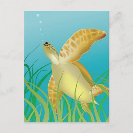 Hawaii Turtle Briefkaart (Voorkant)