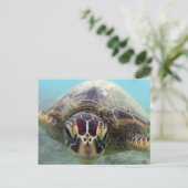 Hawaii Turtle Briefkaart (Staand voorkant)