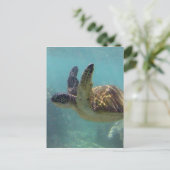 Hawaii Turtle Briefkaart (Staand voorkant)
