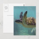 Hawaii Turtle Briefkaart (Voorkant / Achterkant)
