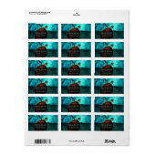 Hawaii Turtle Honu Etiket (Full Sheet)