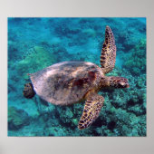 Hawaii Turtle Honu Poster (Voorkant)