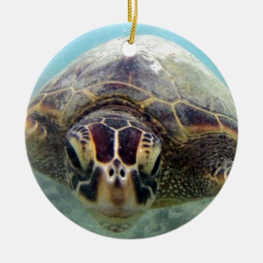 Hawaii Turtle Keramisch Ornament (Voorkant)
