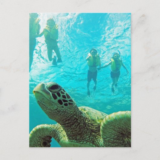 Hawaii Turtle & Snorkelers Briefkaart (Voorkant)