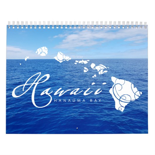 Hawaii Turtles 2019 Kalender (Hoes)