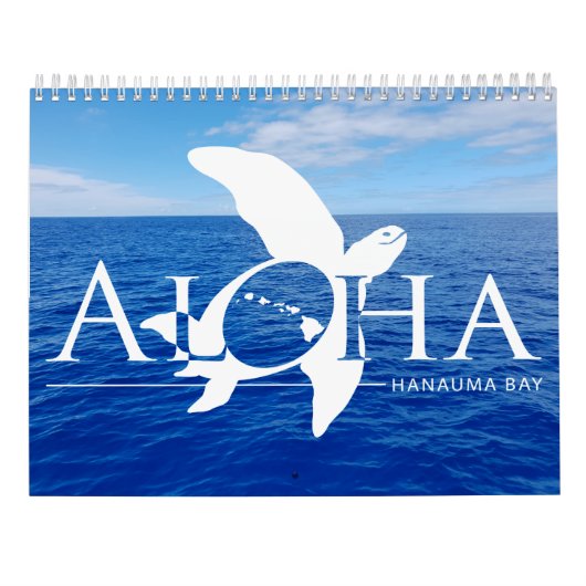 Hawaii Turtles 2019 Kalender (Achterkant)