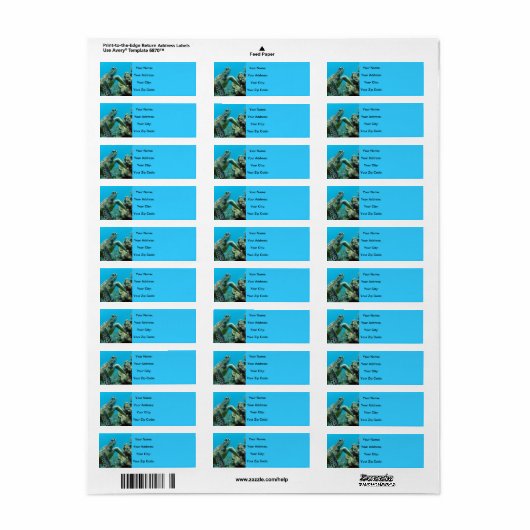 Hawaii Turtles Etiket (Full Sheet)