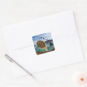 Hawaii Turtles Vierkante Sticker (Envelop)