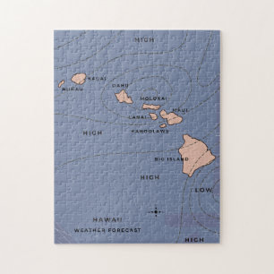 Hawaii Vintage weerbericht Legpuzzel
