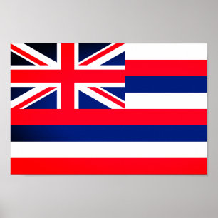 Hawai'i-vlag Poster