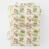 Hawaii Volcano Native Plants Wrapping Paper (In situ)