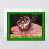 Hawaii Wild Flower Briefkaart (Voorkant / Achterkant)