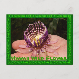 Hawaii Wild Flower Briefkaart