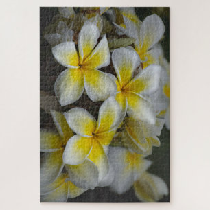Hawaii Yellow Plumeria Legpuzzel