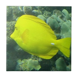 Hawaii Yellow Tang - Lau'i Pala Tegeltje
