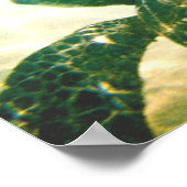 Hawaii Zee Turtle Protection Poster (Hoek)