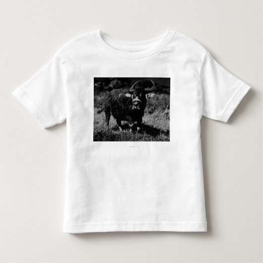 HawaiiA WaterbuffelfotoHawaii Kinder Shirts (Voorkant)